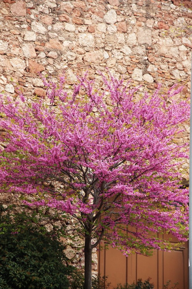 Photograph by Валентина