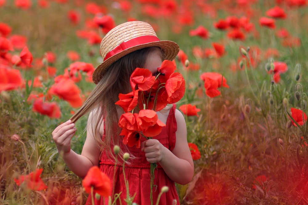 Photograph by Склярова Анастасия