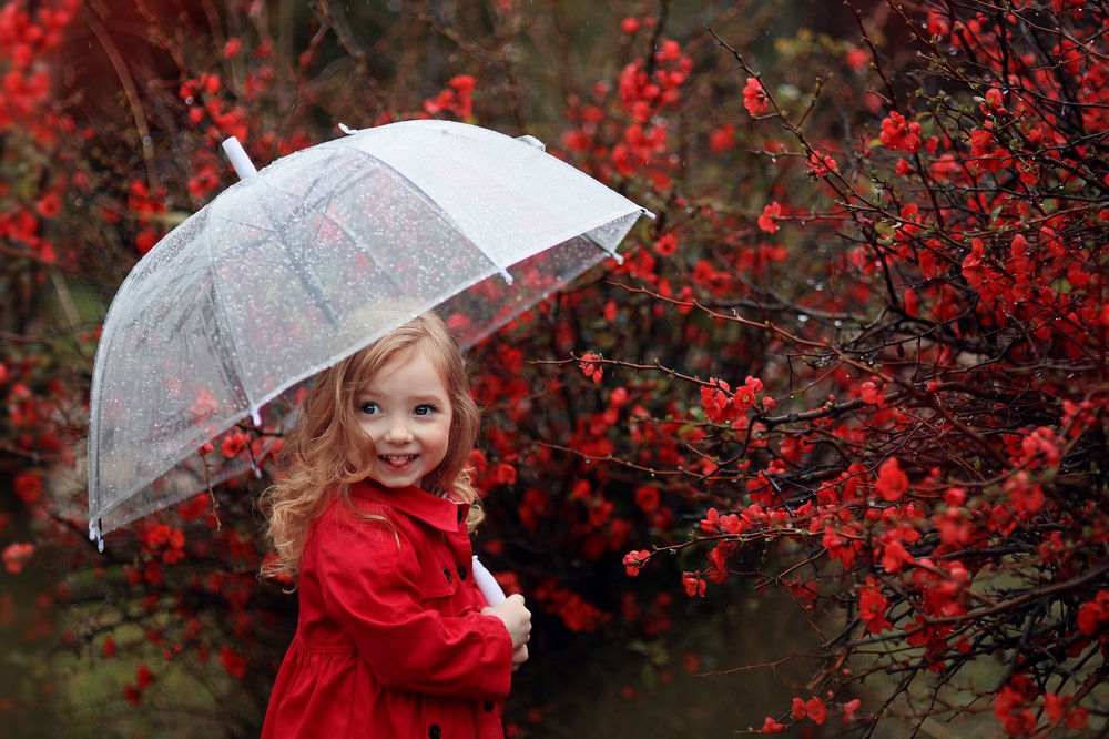 Photograph by Склярова Анастасия
