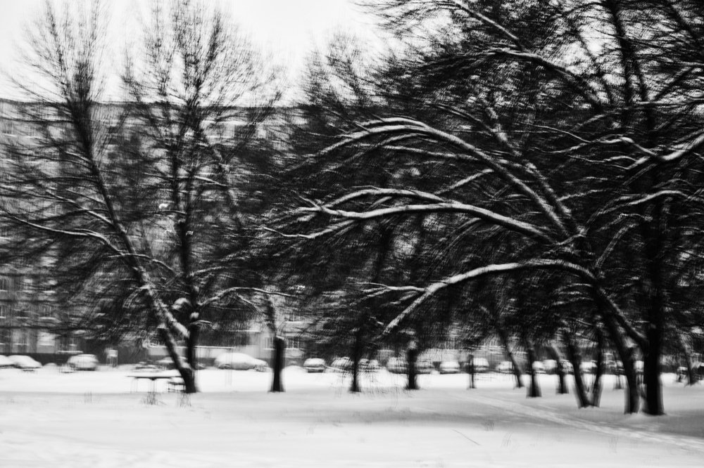 Photograph by Ирина Хожаинова