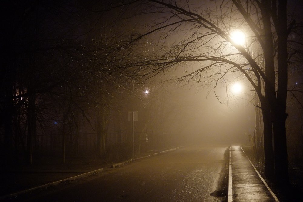 Photograph by Ирина Хожаинова