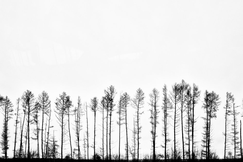 Photograph by Ирина Хожаинова