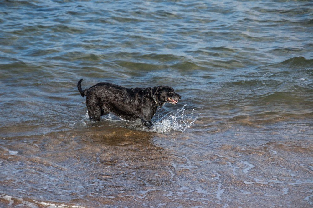 Photograph by Galina Rashap