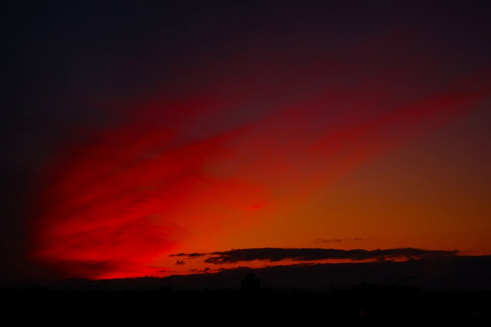 Photograph by Ирина Хожаинова