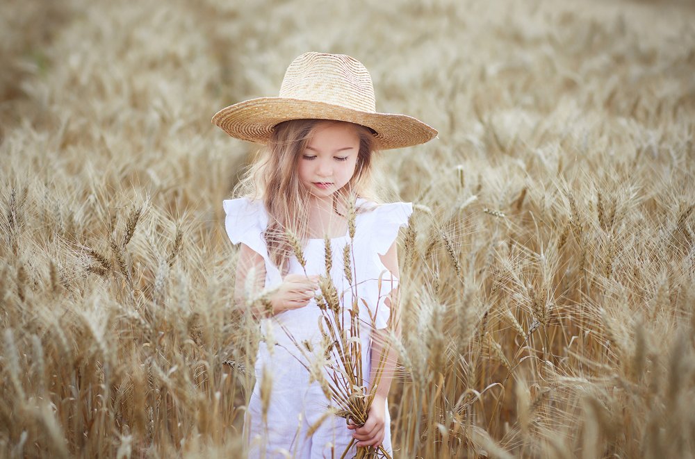 Лето - это маленькая жизнь