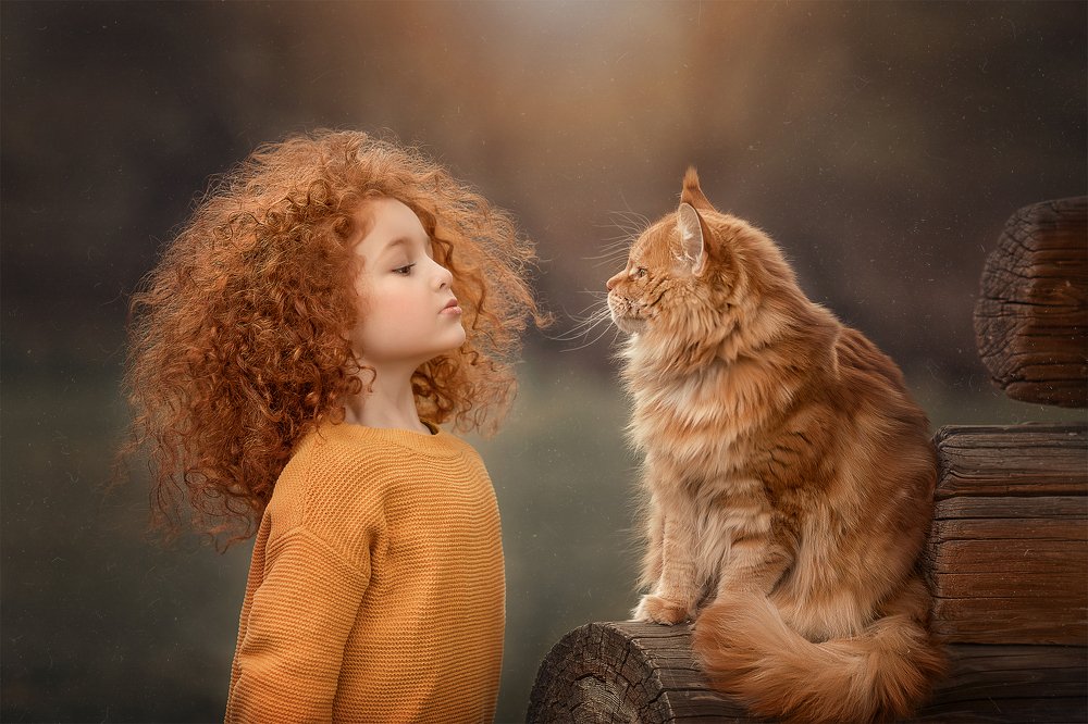 Photograph by Елена Грушецкая