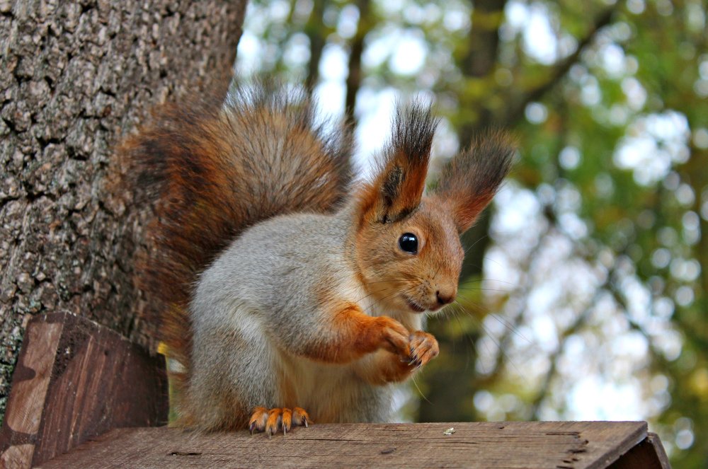 Photograph by Galina Tsmyg