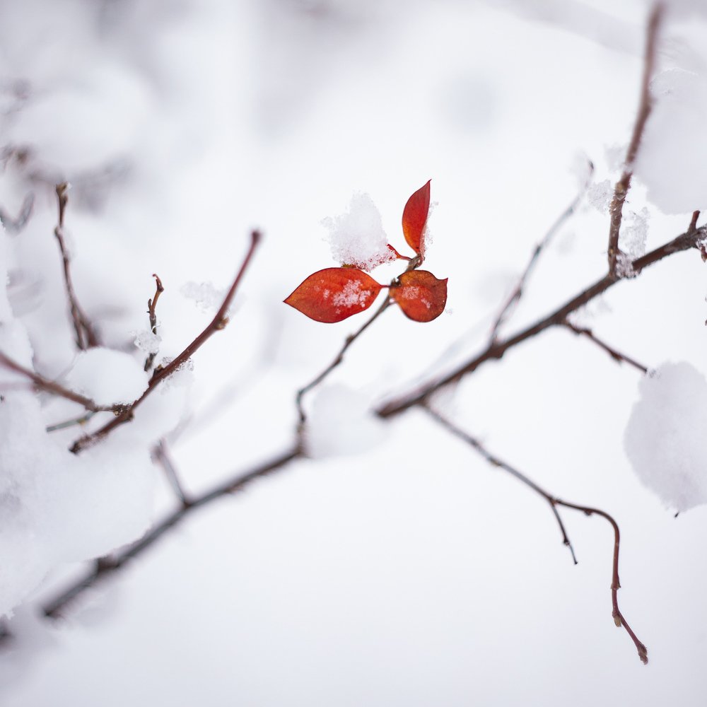 Photograph by Tanya Golosovker