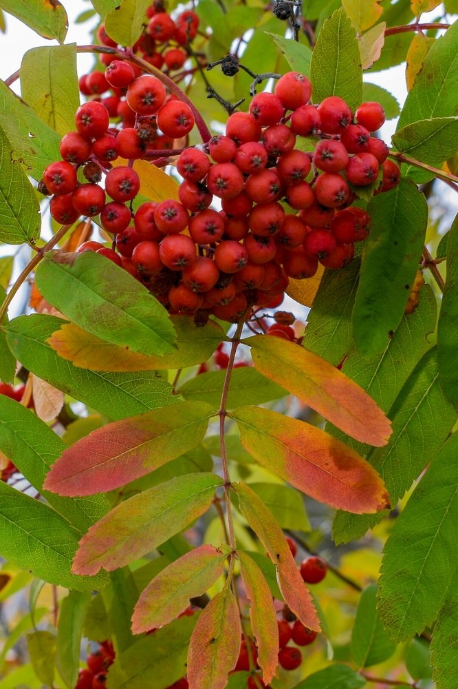 Photograph by Валерий Федяров