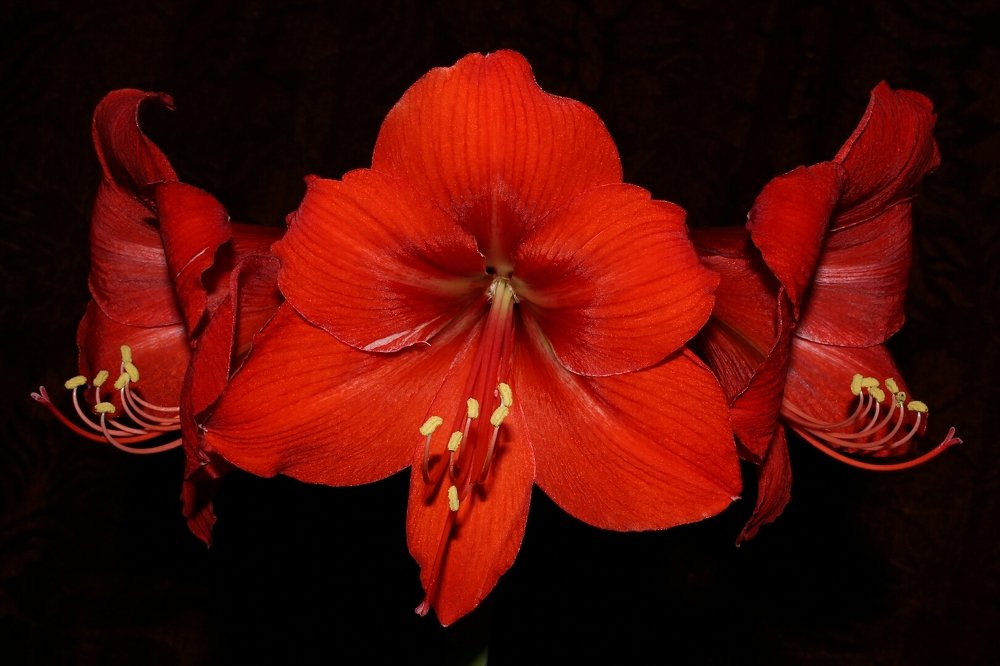 Photograph by Валерий Федяров