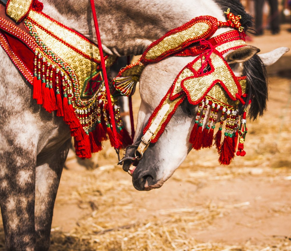 Photograph by Moulay Ahmed KASSI
