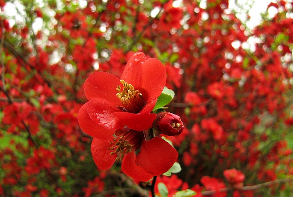 Photograph by Maria Berci