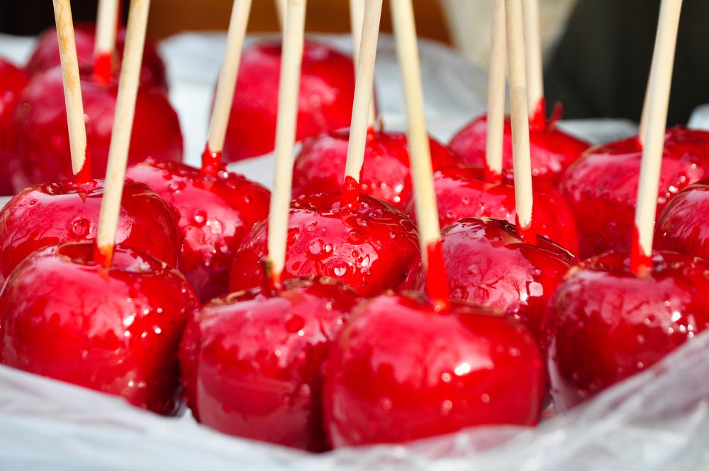 Photograph by Maria Berci