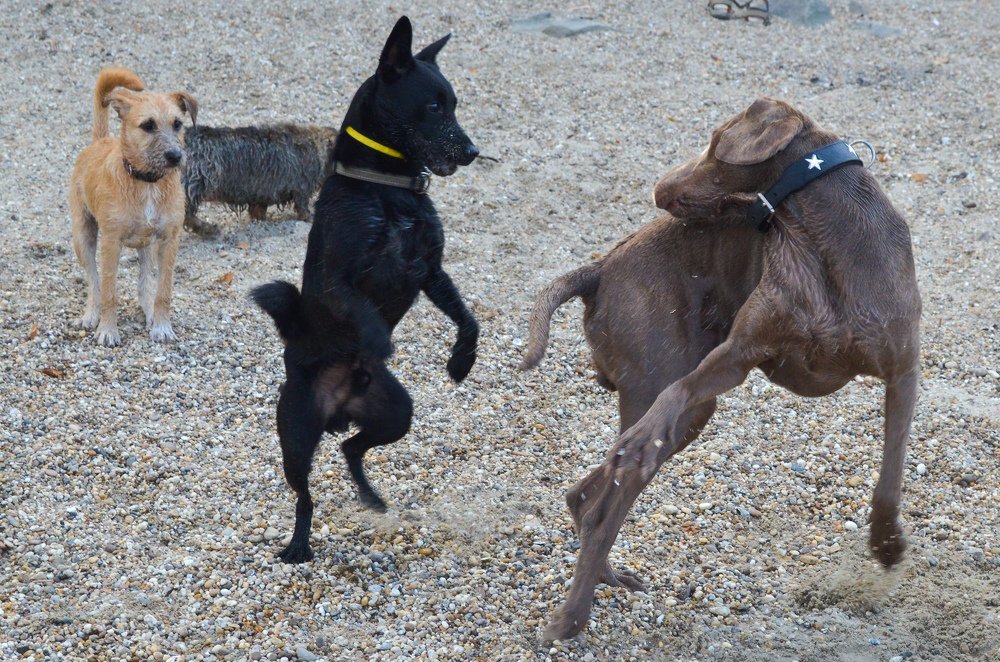 Photograph by Maria Berci