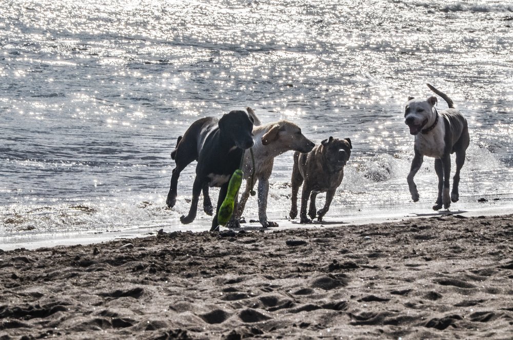 Photograph by Maria Berci