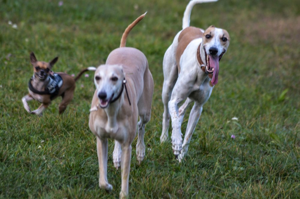 Photograph by Maria Berci