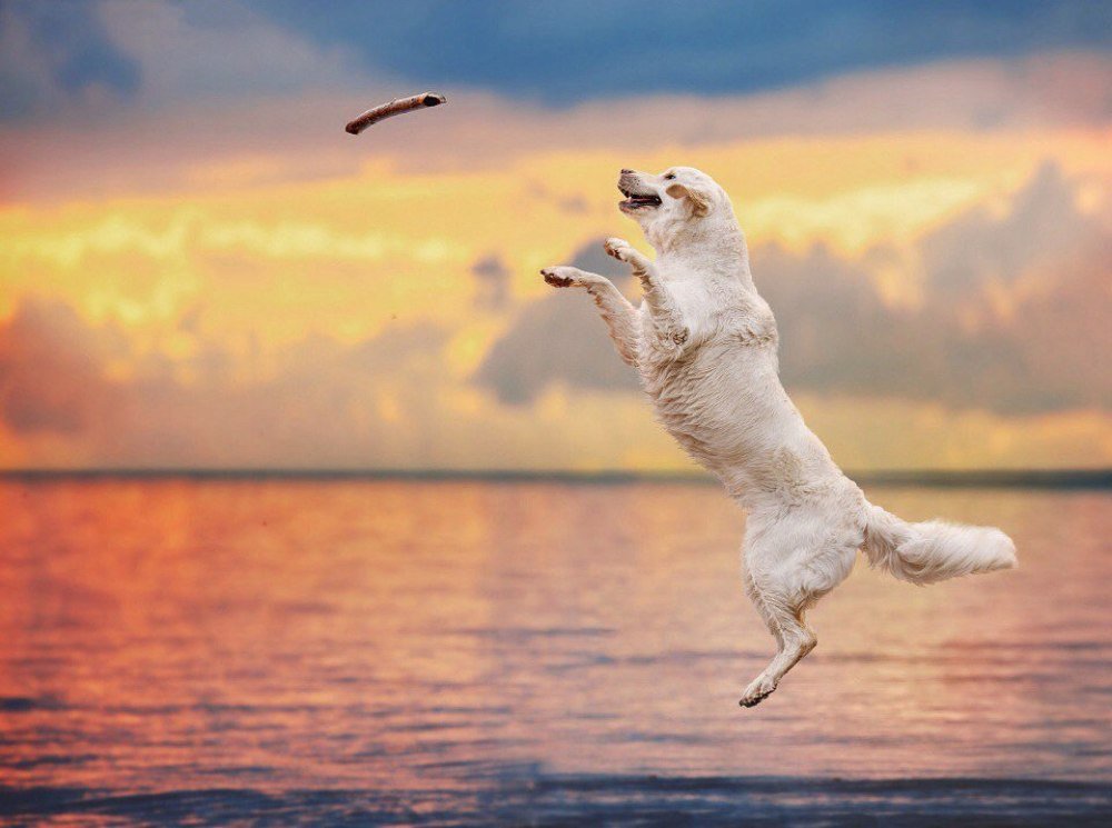 Photograph by Олеся Курсанова