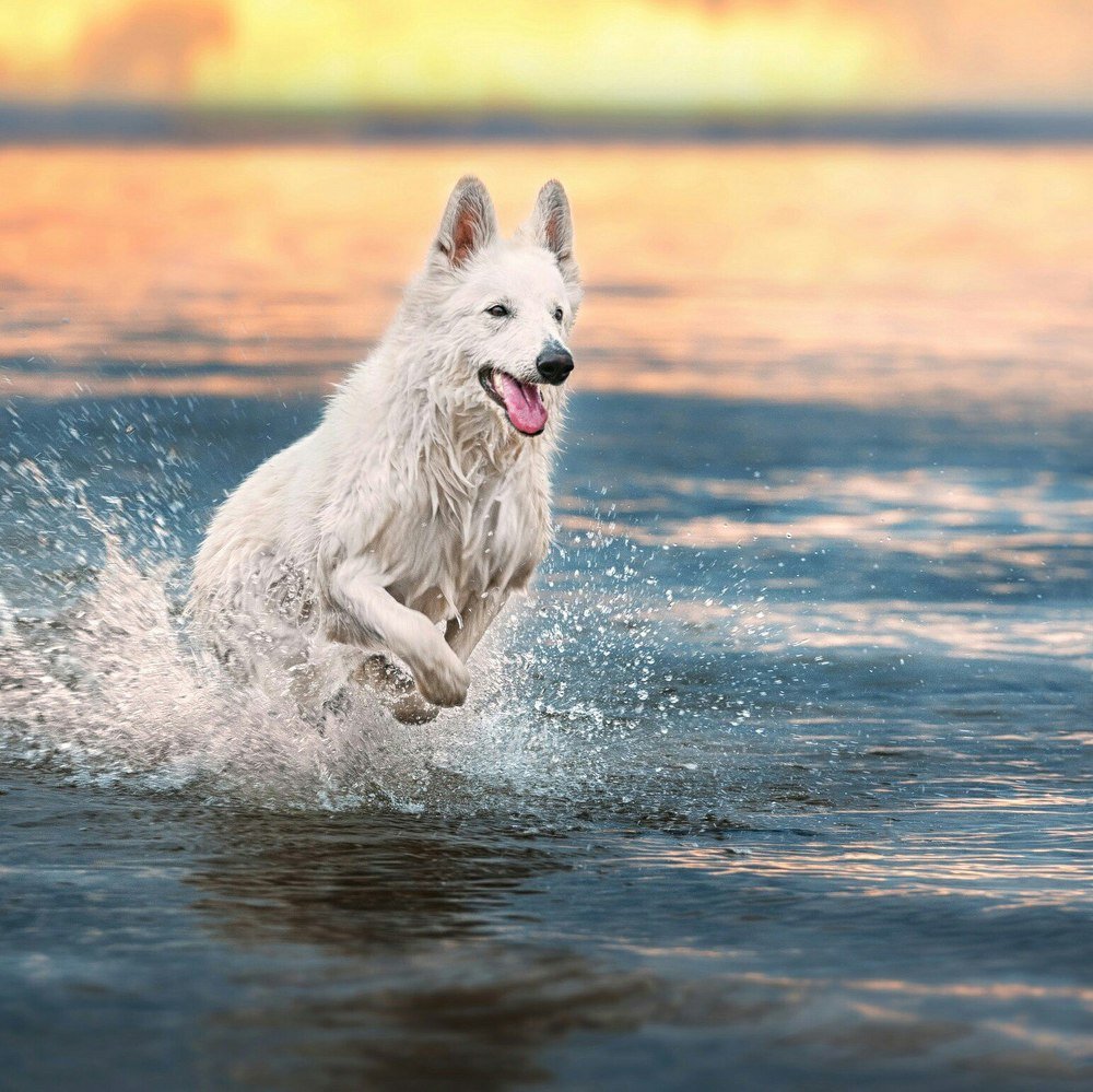 Photograph by Олеся Курсанова