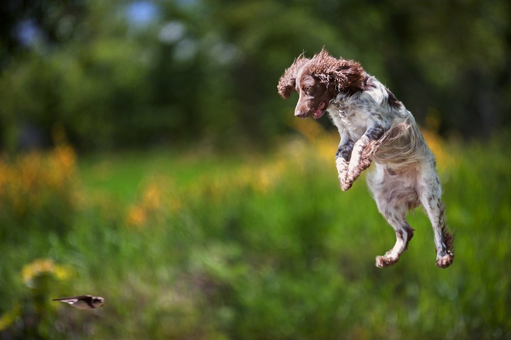 Photograph by Олеся Курсанова