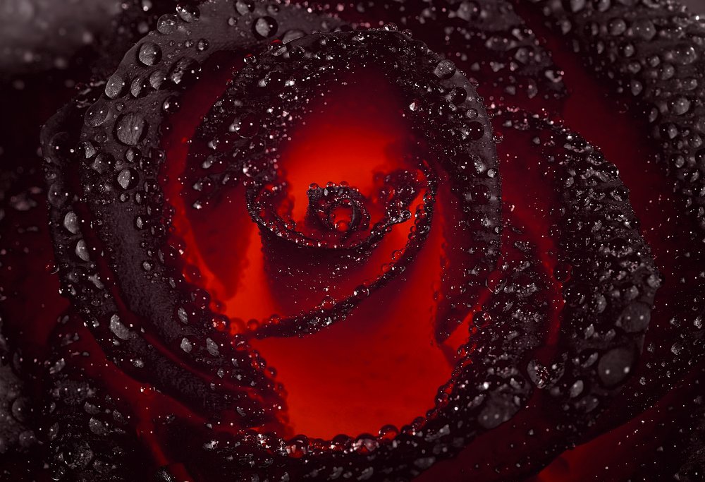 Photograph by Evgeniya Fedorova