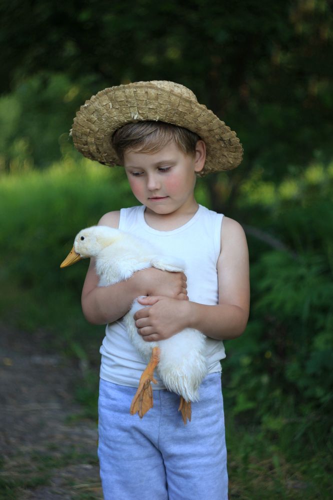 Photograph by Светлана Бузина