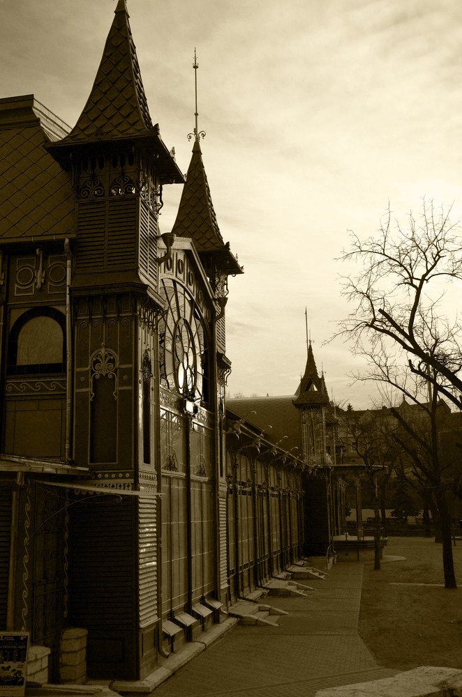 Photograph by Рената Прилепская