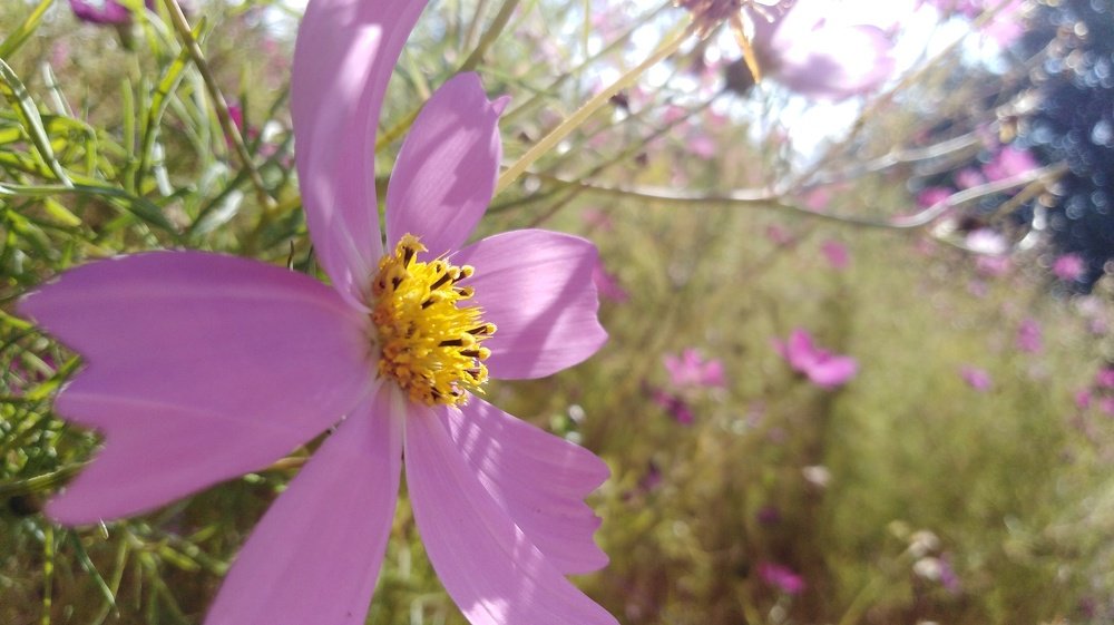 Photo #3843252