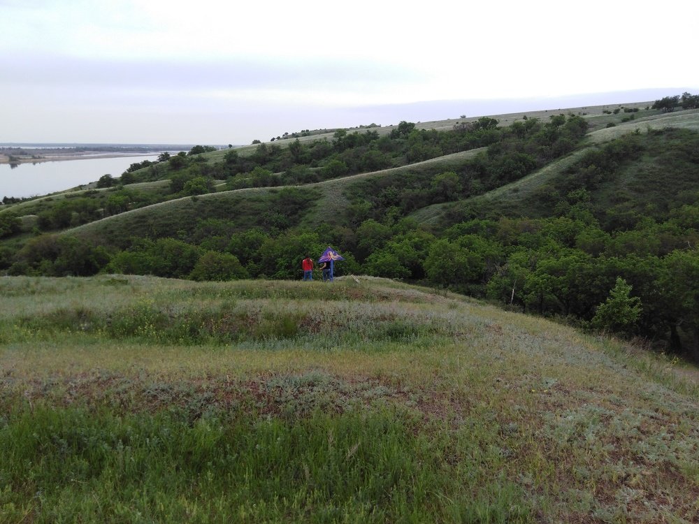 Photo #3843342