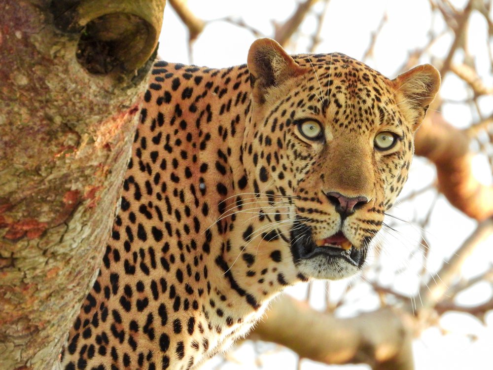 Photograph by Areef Photography