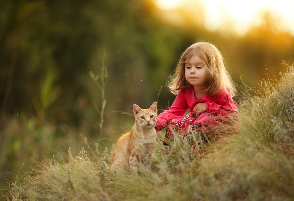 Photograph by Елена Шувалова