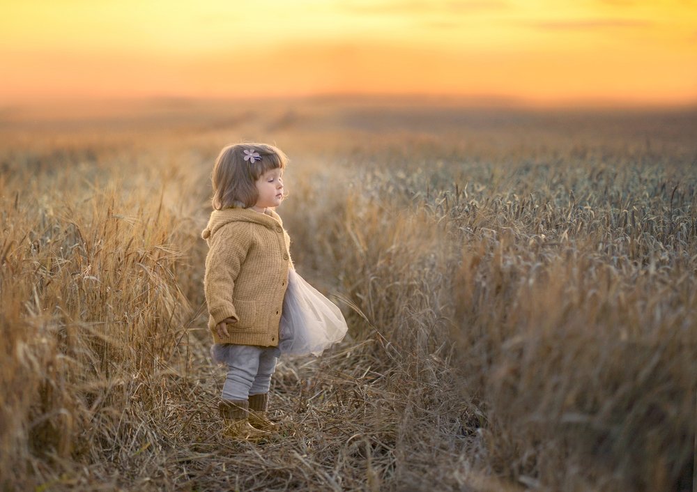 Фотография автора Елена Петрова