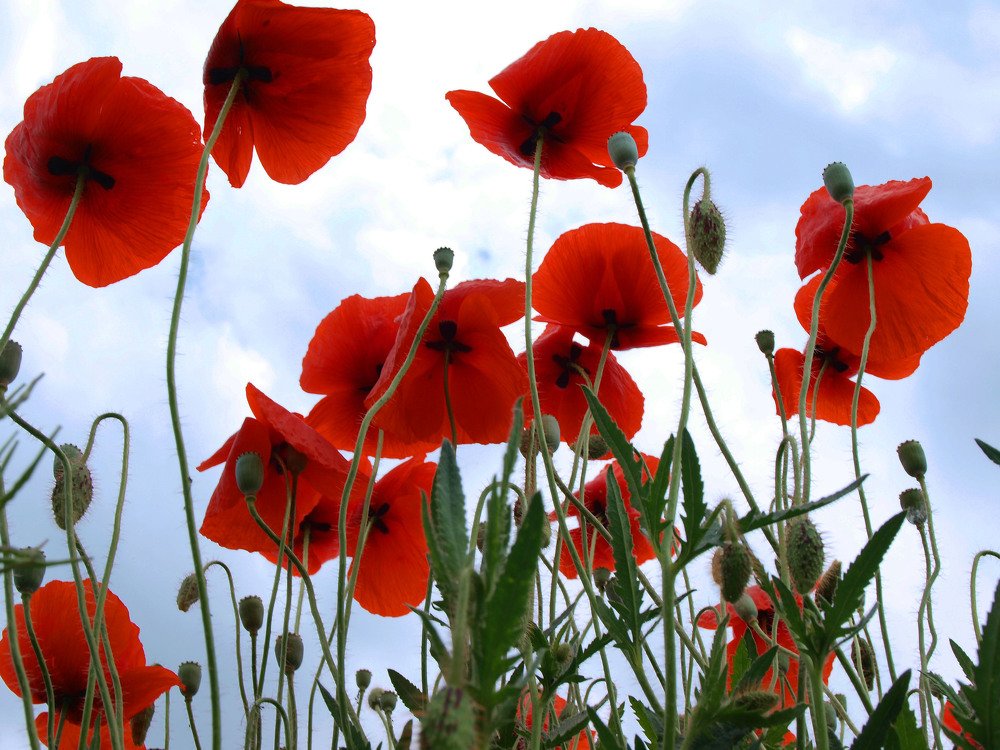 Photograph by Александр Филатов