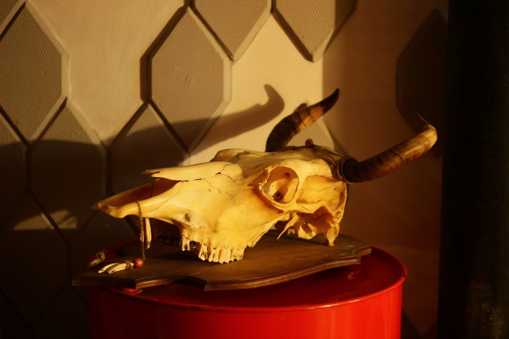 Photograph by Екатерина Заживихина