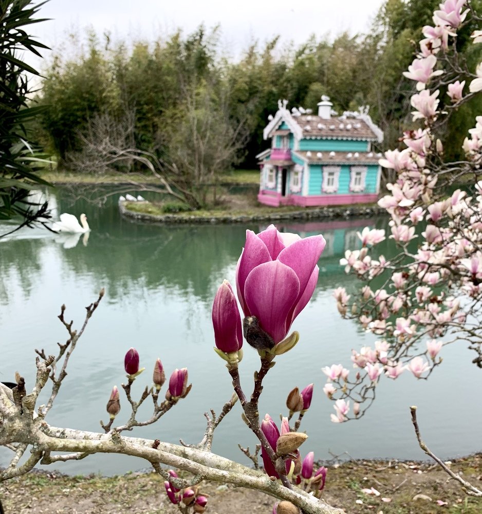 Photograph by Михаил Магид