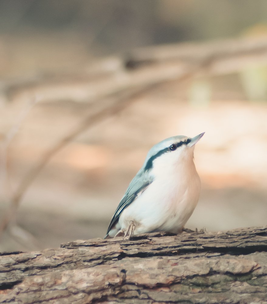 Photograph by Мария