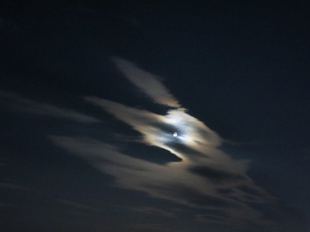 Photograph by ЭЛЬМИРА  ИСМАИЛОВА