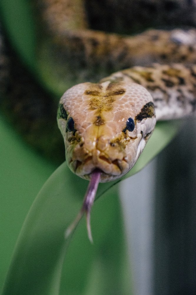 Photograph by Мария