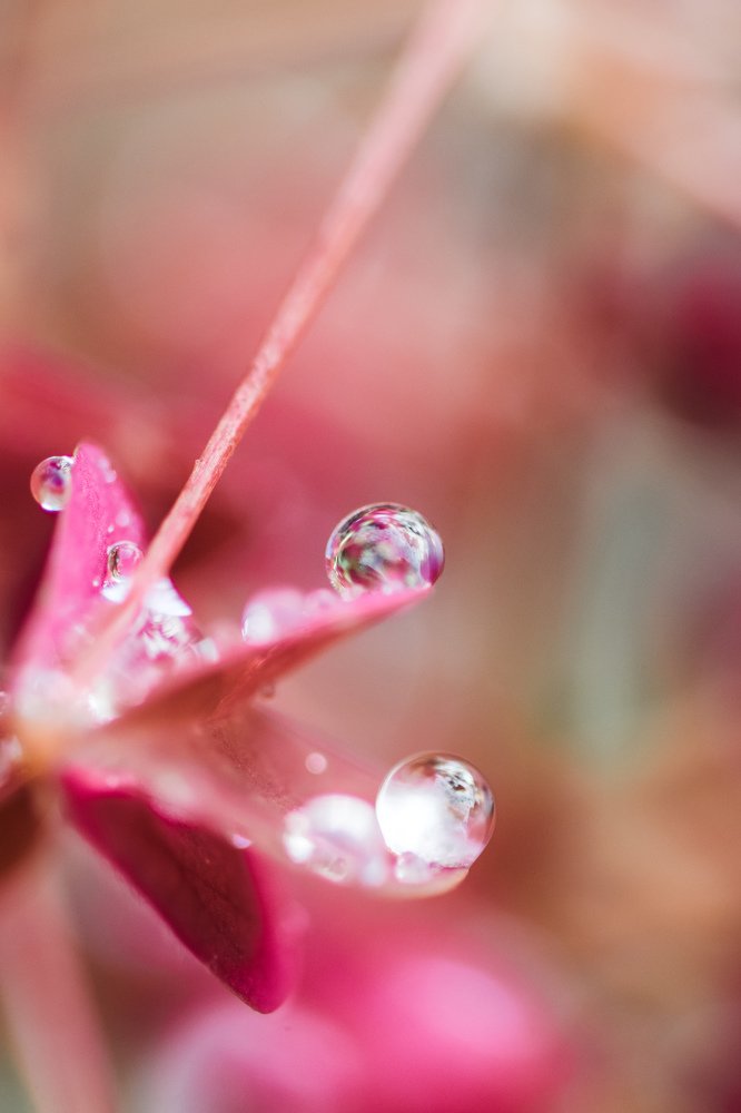 Photograph by Мария