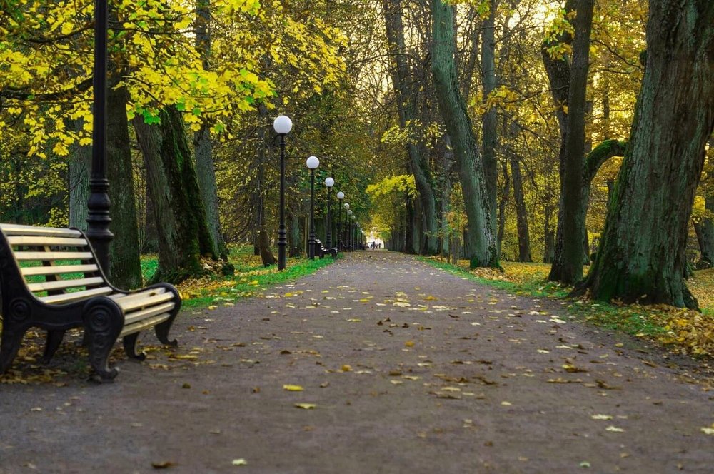 Photograph by Алексей Стрижаков