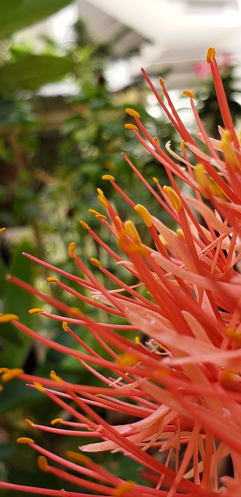 Photo #3843953