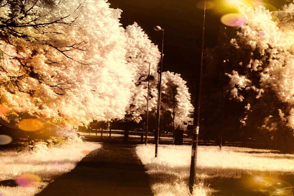 Photograph by Алексей Стрижаков