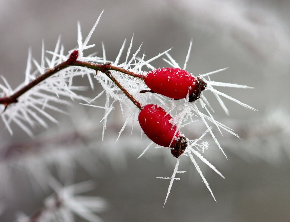 Photograph by Арсен Алабердов