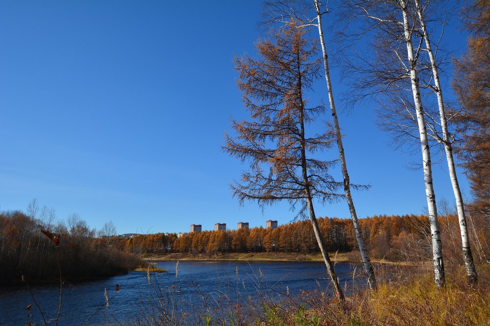 Небоскрёбы