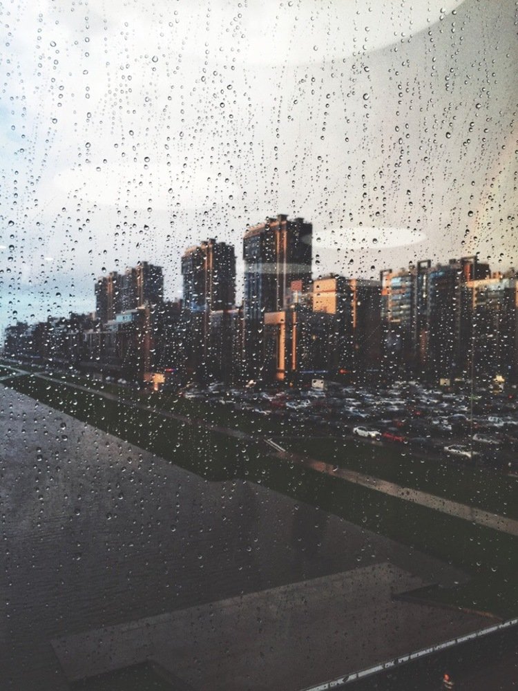 Photograph by Алина Подольских