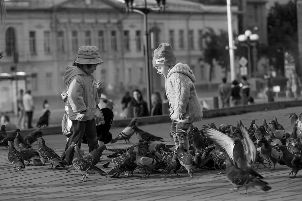 Photograph by Александр Комаров