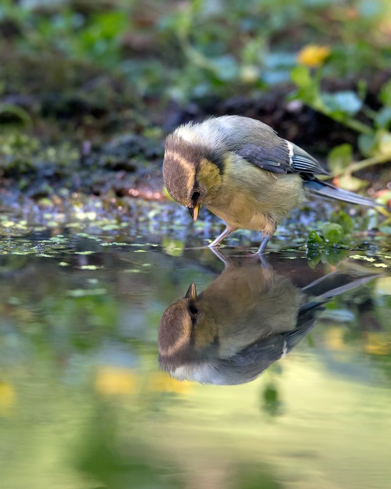 Photograph by Сергей Сильченков