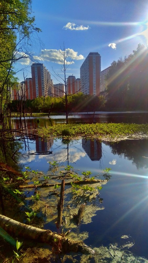 Photograph by Анатолий