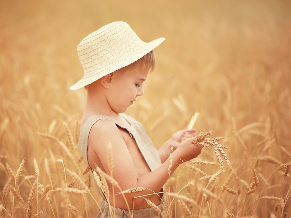 Фотография автора Ольга Котова