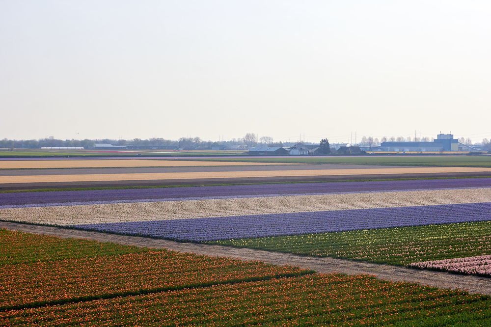 Photograph by Константин Кузнецов