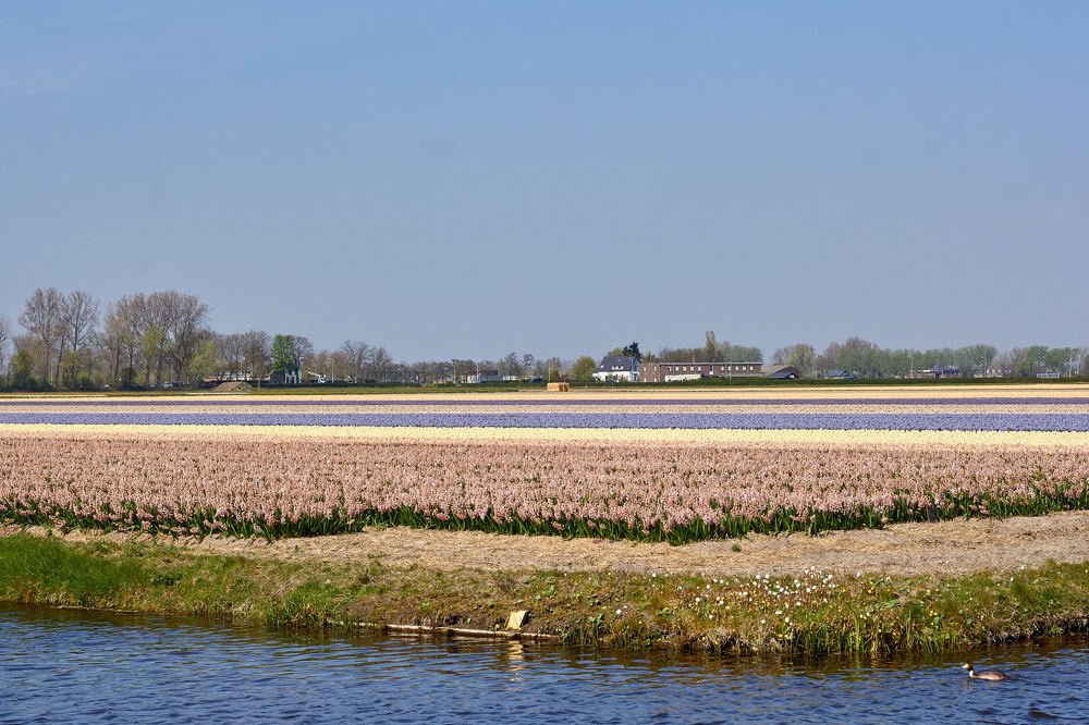 Photograph by Константин Кузнецов